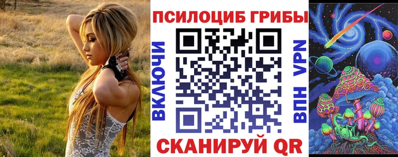 купить   Южа  Галлюциногенные грибы Psilocybine cubensis 